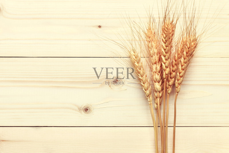 小麦正版图片素材