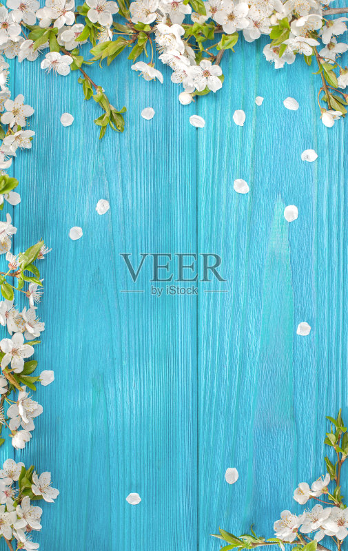 春天的背景正版图片素材