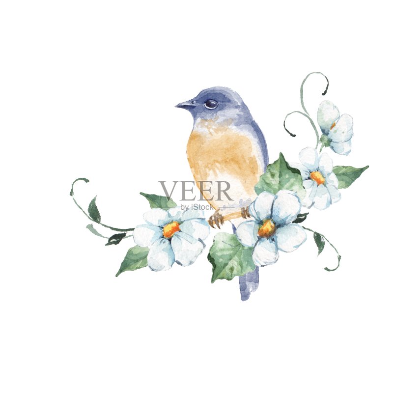 鸟在树枝上。水彩插图与花正版插画素材