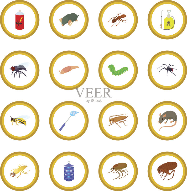 昆虫图标圈图标素材
