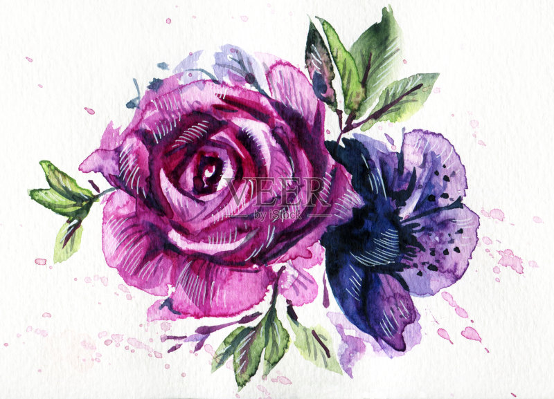 水彩花正版插画素材