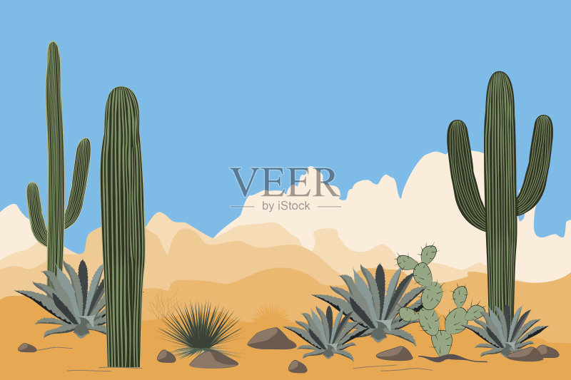 干旱沙漠的风景。山谷景观与仙人掌。观山景,清澈的蓝天为背景正版插画素材