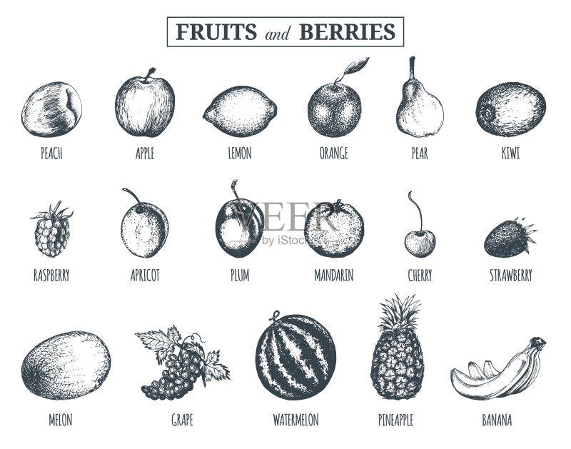 矢量插图水果和浆果。手绘绿色蔬菜系列有机饮料卡,农场生态产品标签:桃,柠檬,橙子,苹果,樱桃,猕猴桃,葡萄,甜瓜,杏,柑橘等。正版插画素材