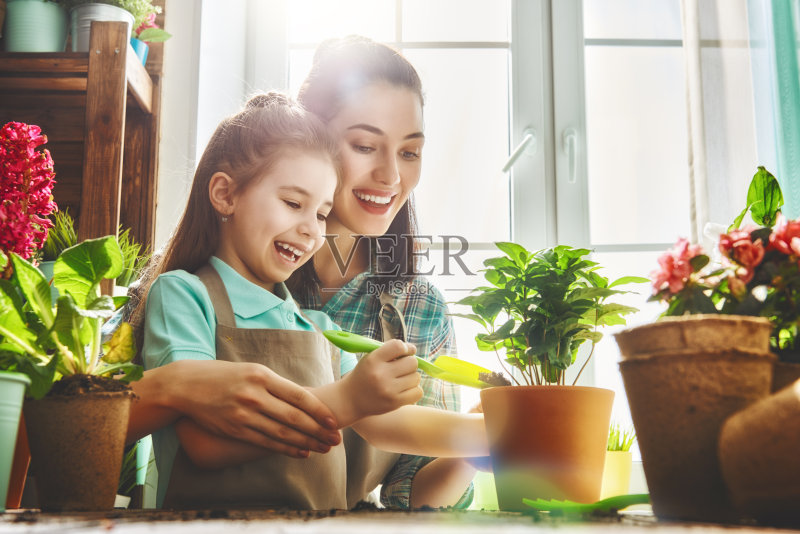 春日合家欢乐正版图片素材