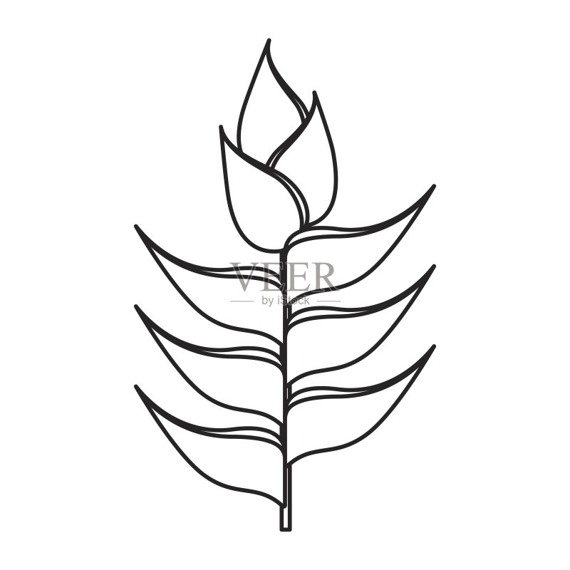 可爱的花朵装饰图标图标素材