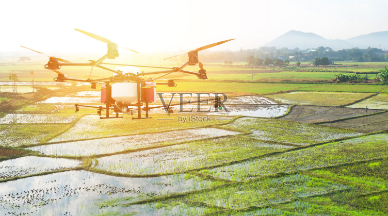 无人机,农业无人机技术,精确耕作,测量作物概念。一种具有闪光效应的无人机喷洒杀虫剂。正版图片素材