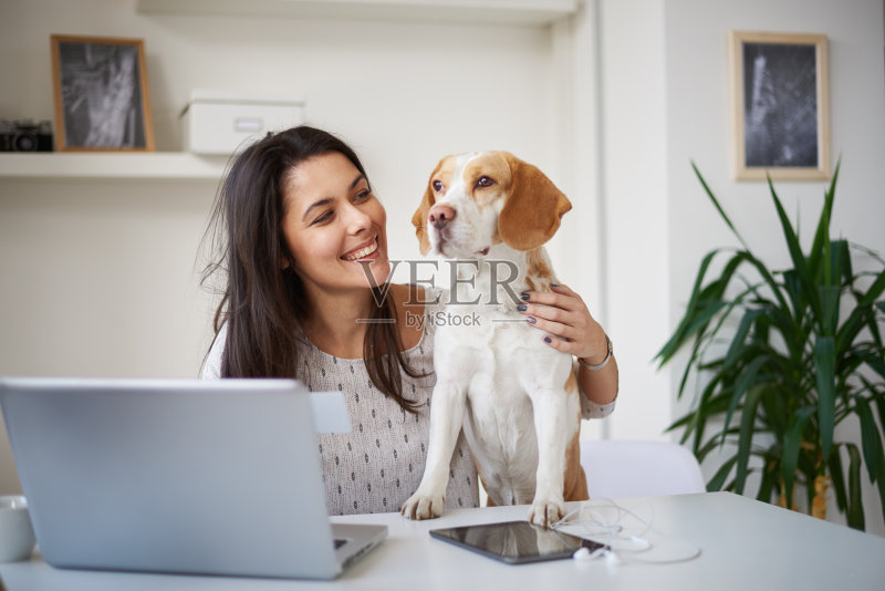 女商人在家办公,带着狗正版图片素材