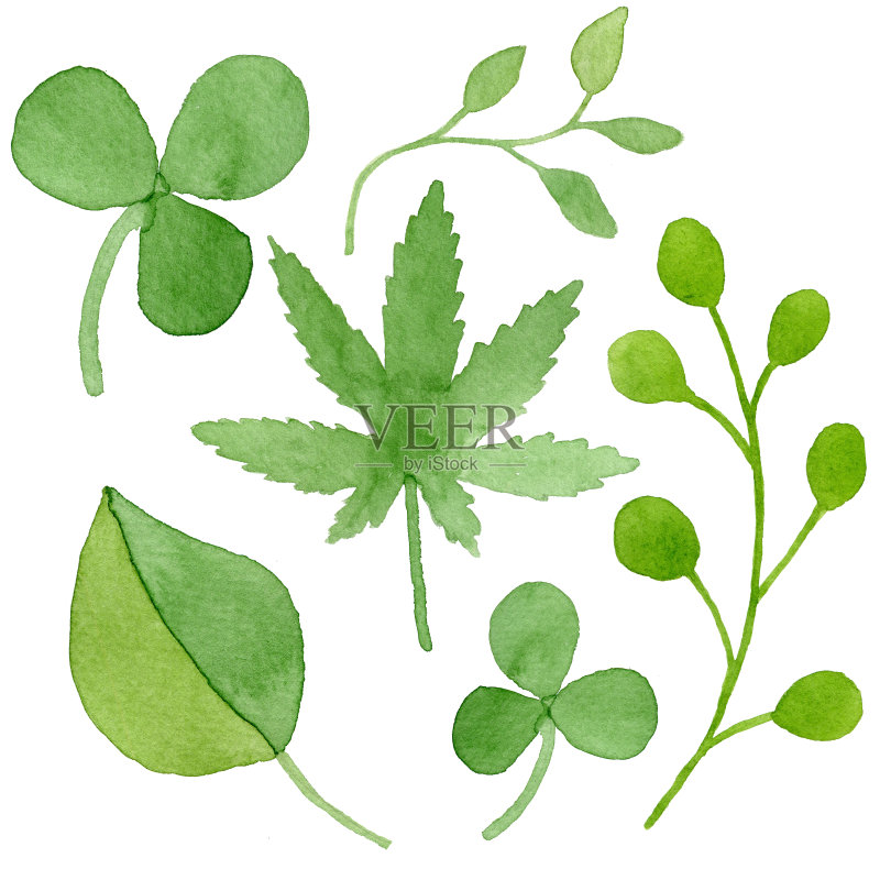 水彩的叶子正版图片素材