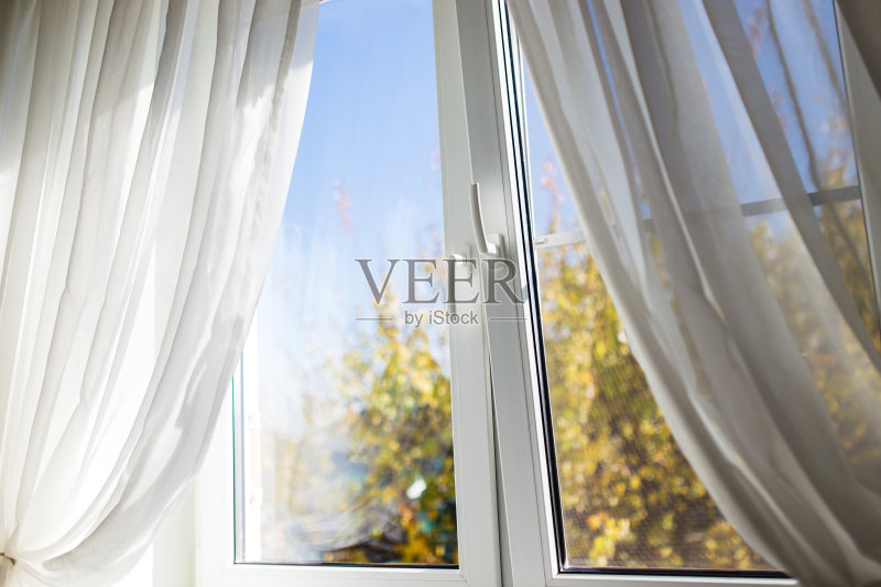 秋天的窗口正版图片素材