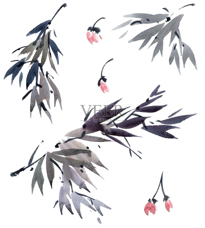 水彩树枝正版插画素材