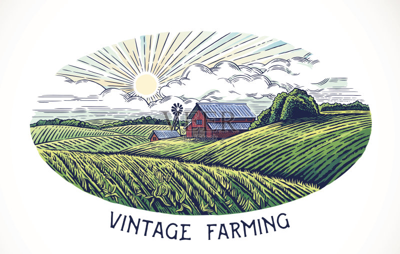 农村景观正版插画素材