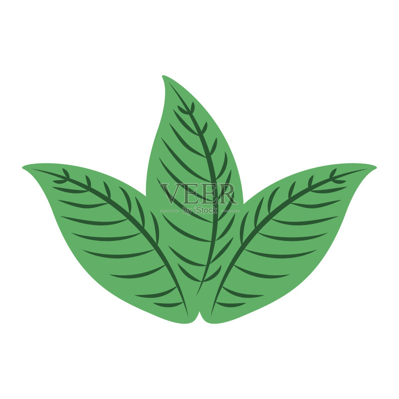 热带树叶夏季图标图标素材