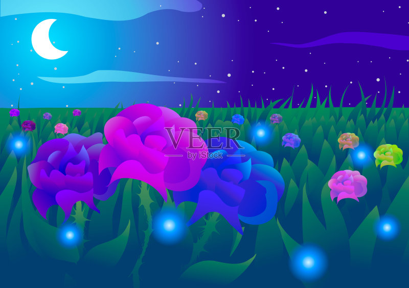 夜晚的玫瑰田。正版插画素材