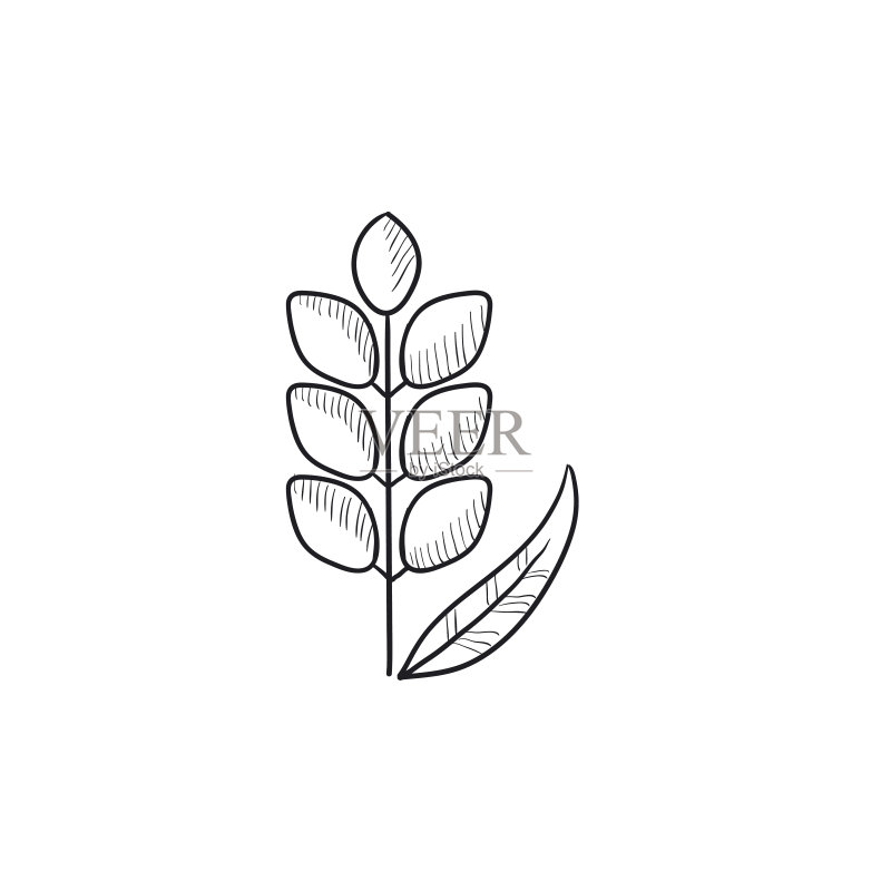 小麦素描图标图标素材