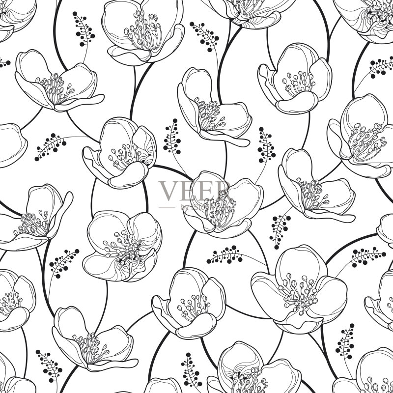 无缝图案与茉莉花在黑色的白色背景。正版插画素材