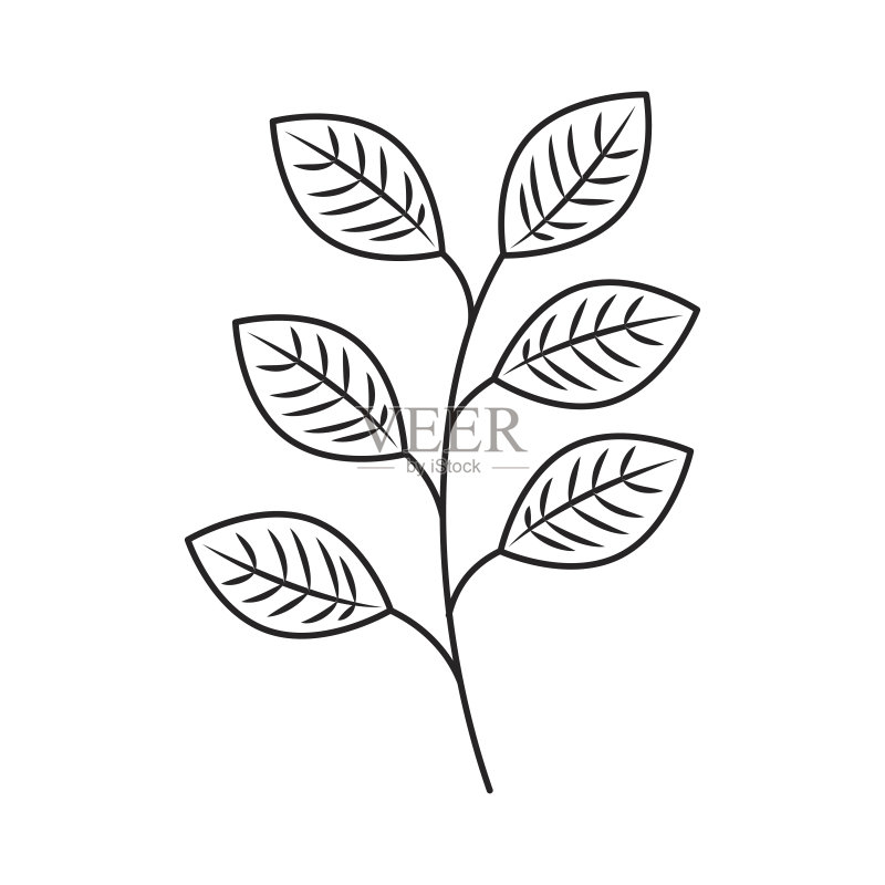 装饰性叶子植物独立图标图标素材