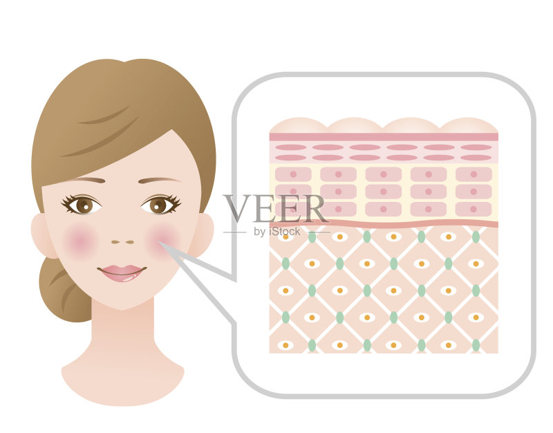 健康肌肤的女性正版插画素材