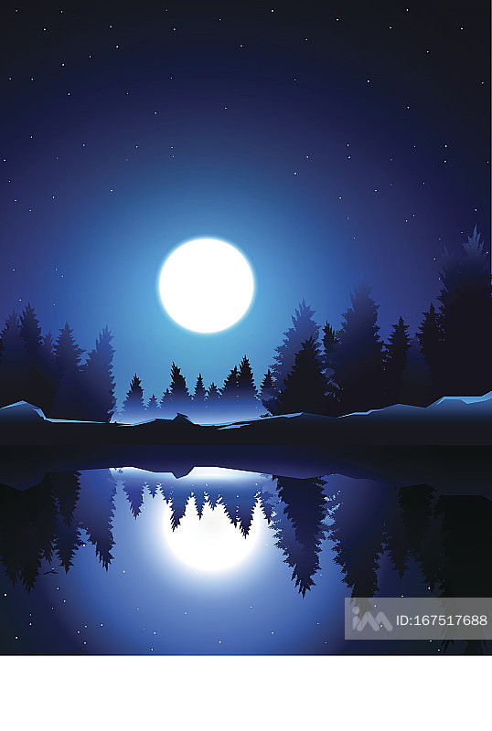 夜晚月光下的湖边松树林插画图片素材