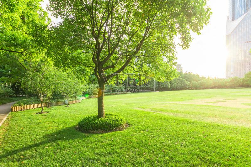 上海陆家嘴中心绿地,中国正版图片素材
