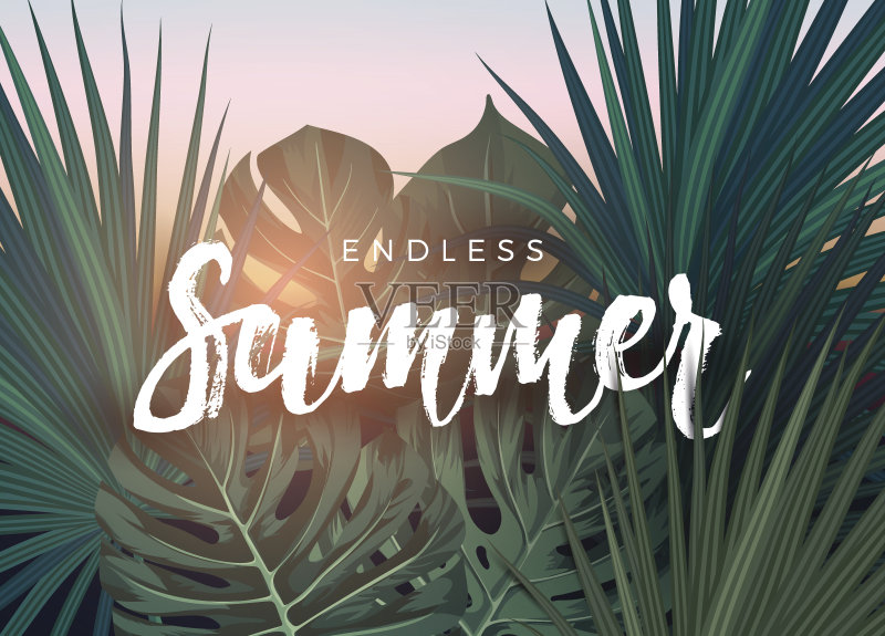夏季热带矢量设计的旗帜或传单与深绿色棕榈叶和字母正版插画素材