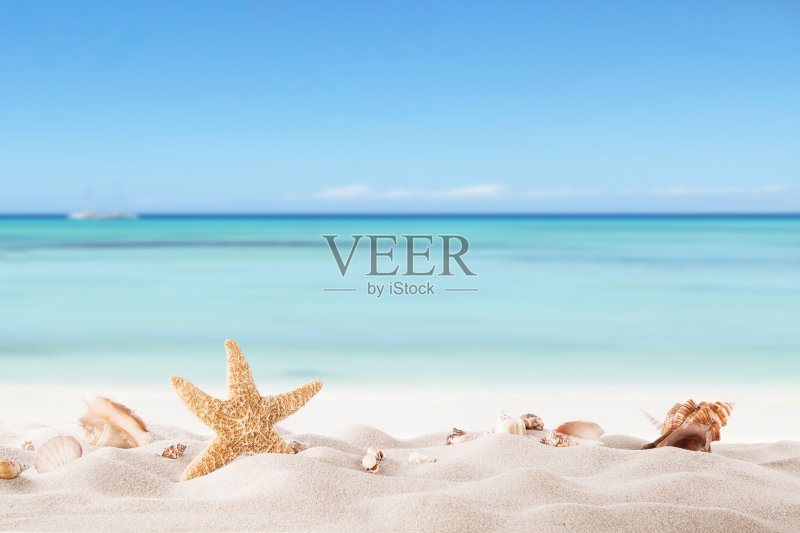 夏天的海滩,有鱼和贝壳正版图片素材