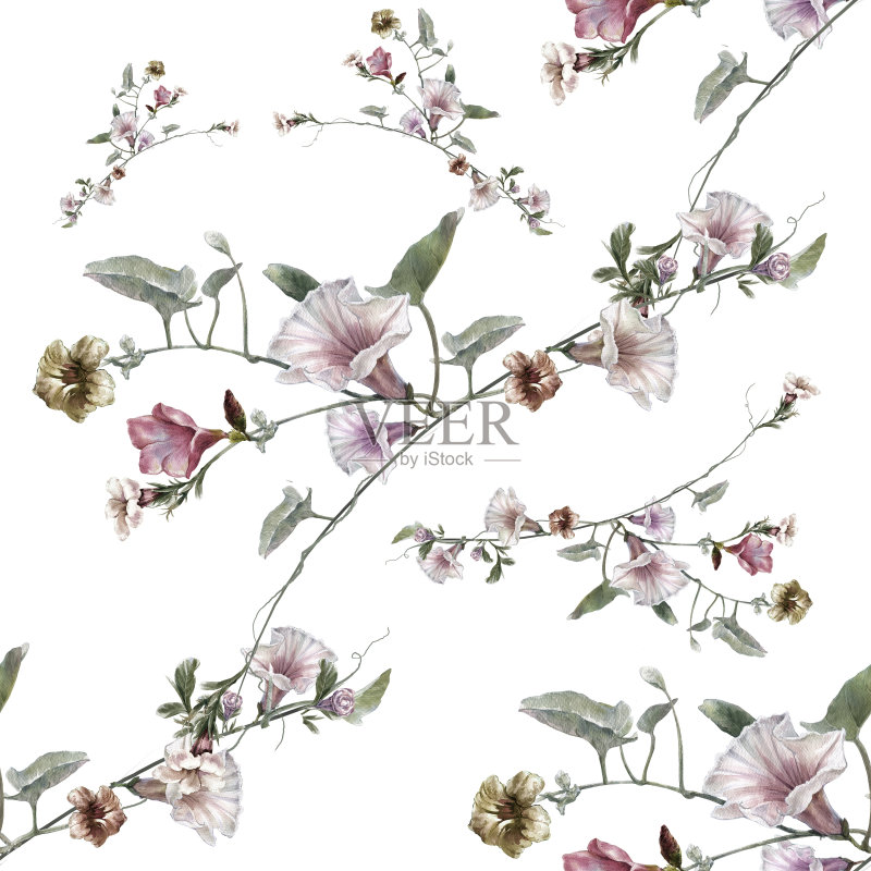 叶和花的水彩画,在白色的背景上无缝的图案正版插画素材