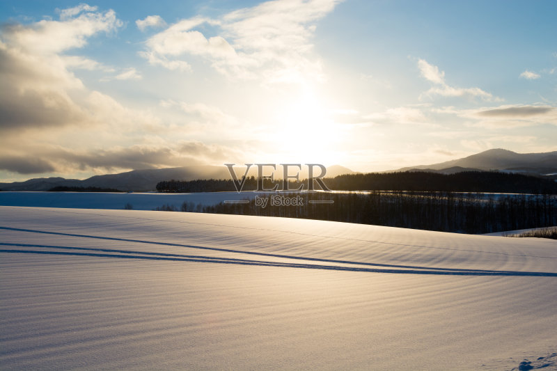 闪亮的领域正版图片素材
