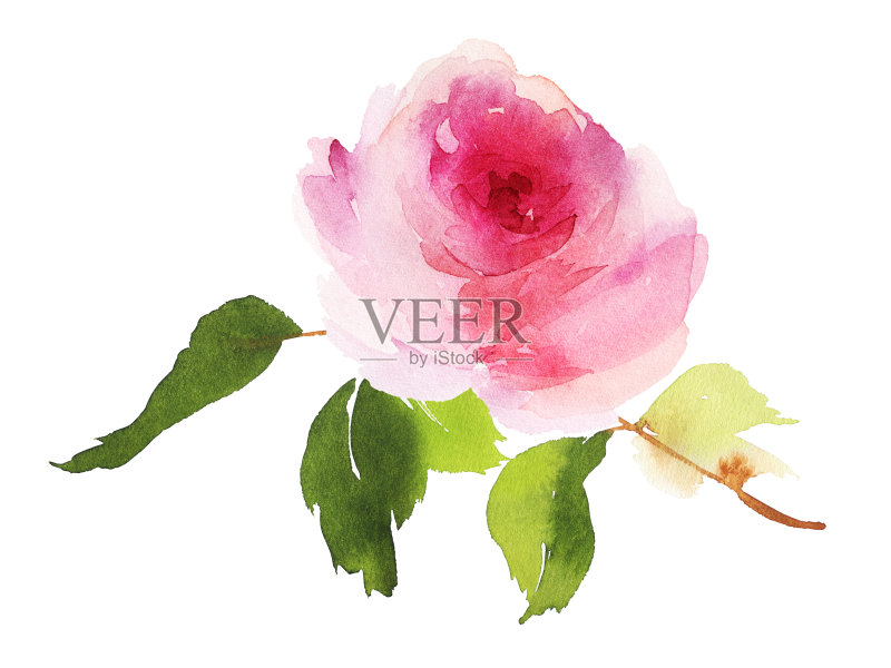 贺卡与水彩花手工制作正版插画素材