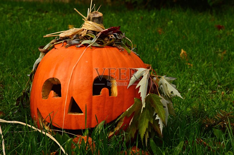 微笑积极挖出万圣节南瓜灯与枫叶作为耳朵和皇冠制成的玉米茎和浆果正版图片素材