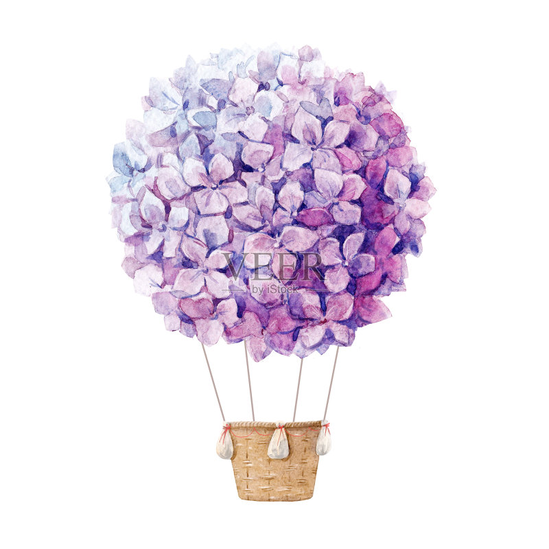 水彩花卉组成正版插画素材