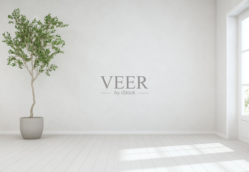 室内植物木地板与空白的白色混凝土墙背景,树靠近门在明亮的客厅现代斯堪的那维亚房子正版元素素材