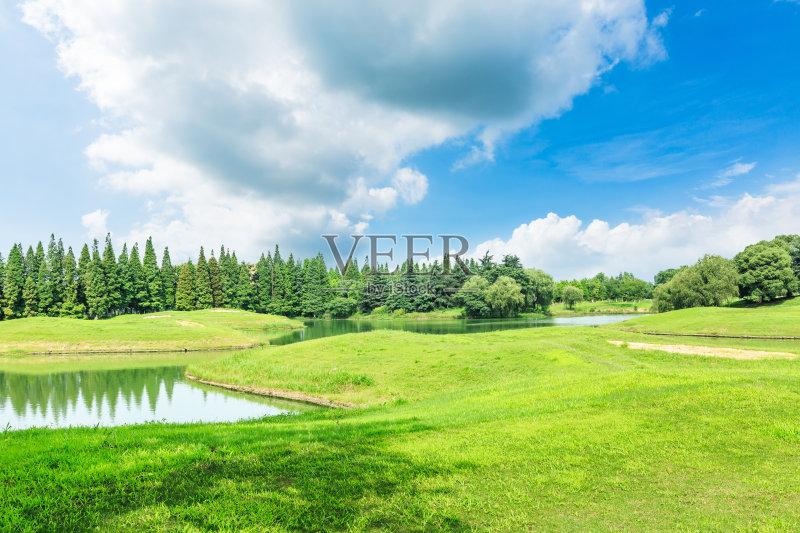 绿色的草地,树木和池塘景观的自然公园正版图片素材