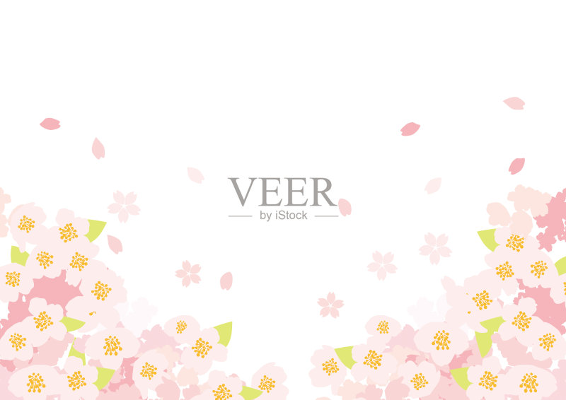 这是日本一棵美丽的樱桃树正版插画素材