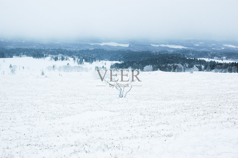 日本北海道比荷罗关口的雾凇冰正版图片素材