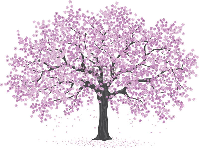粉红色的樱花树,樱花正版元素素材