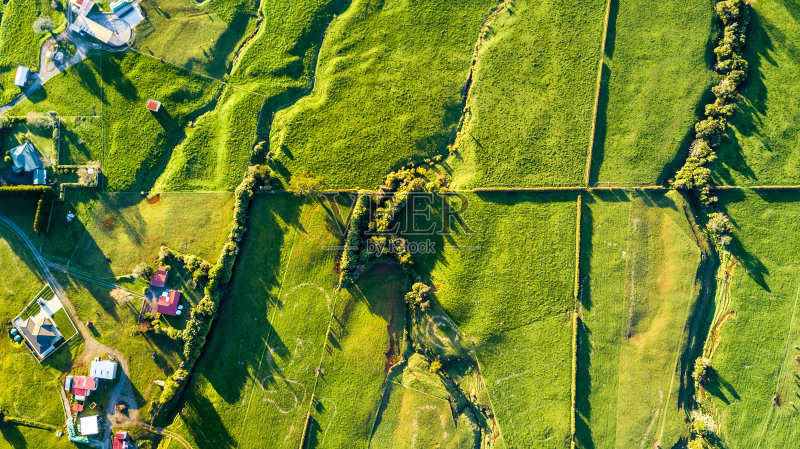 鸟瞰图在塔拉那基山脚下的农田和围场。新西兰的塔拉纳基地区正版图片素材