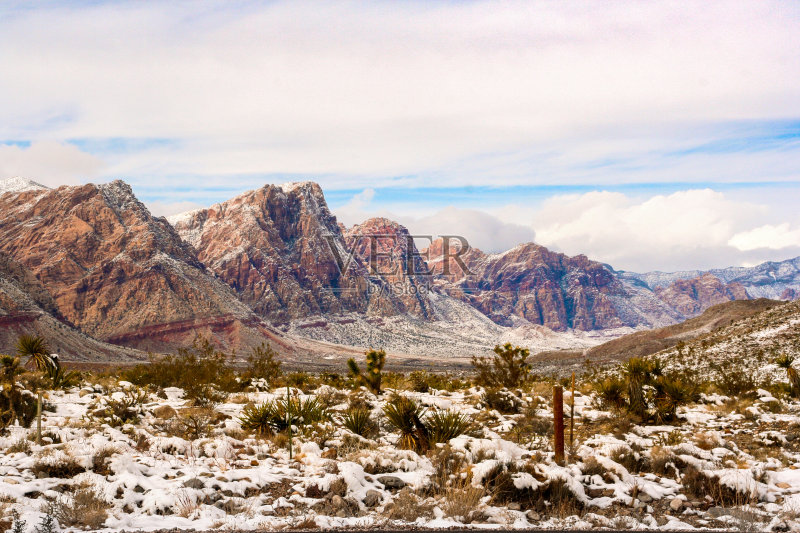红岩保护区,拉斯维加斯,内华达州,冬天下雪正版图片素材