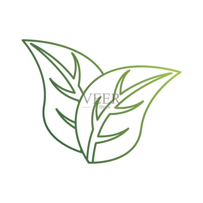 叶子植物孤立图标图标素材