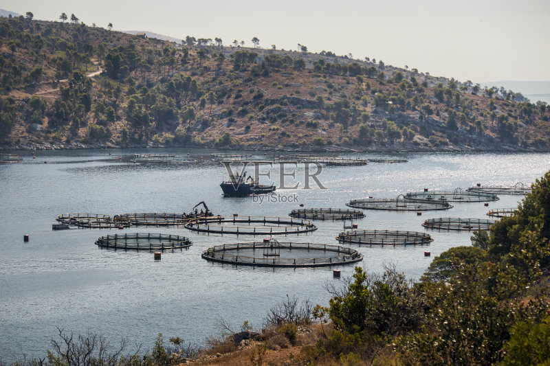 渔场在安静的海湾正版图片素材