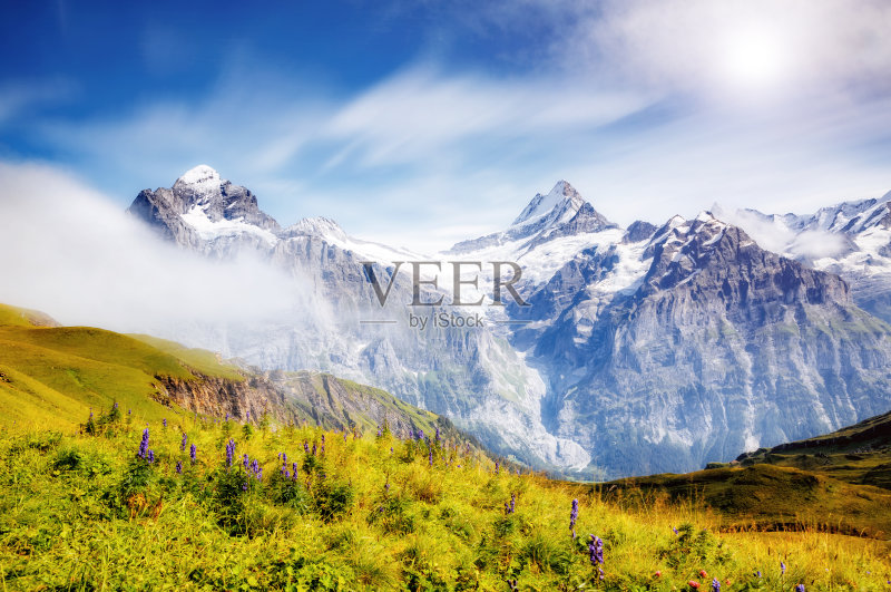 瑞士阿尔卑斯山,格林德沃山谷,伯恩斯高地,欧洲。正版图片素材