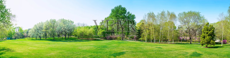 早春公园正版图片素材