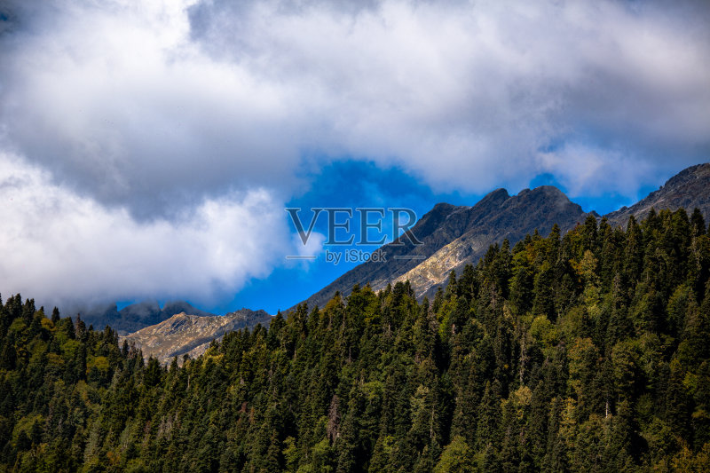 山云树正版图片素材