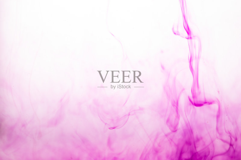 水中黑枸杞。食品的概念。正版图片素材