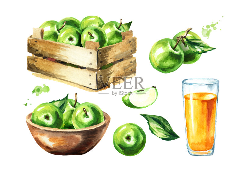Gren苹果。手绘水彩插图,孤立的白色背景正版插画素材