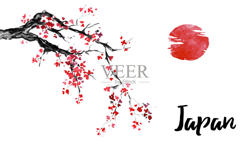 日本传统水墨画:樱花插画图片素材