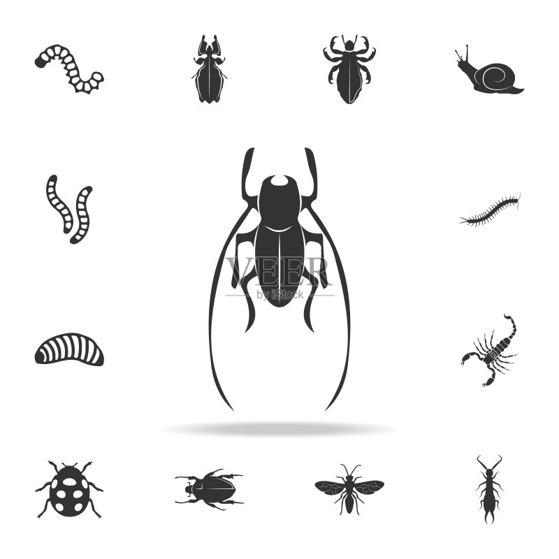 昆虫图示icon板球图标素材