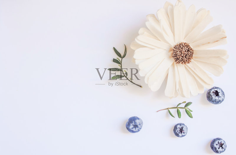 弗莱彻浆果春季作曲正版图片素材