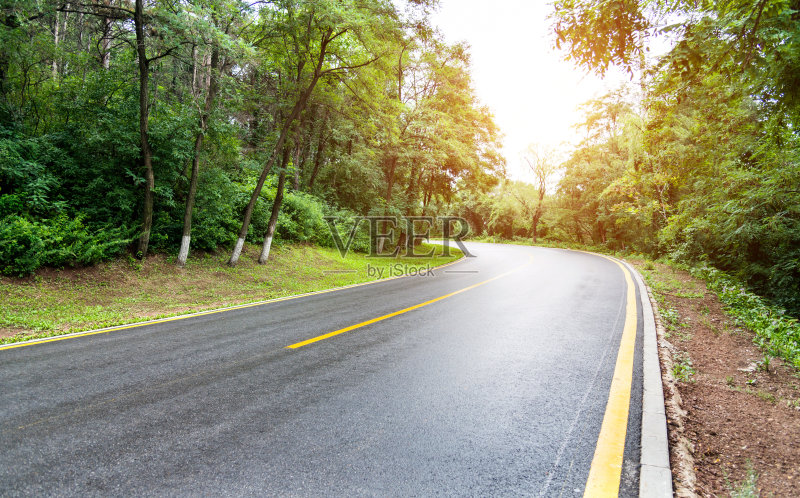 弯路在一片绿色的森林里正版图片素材