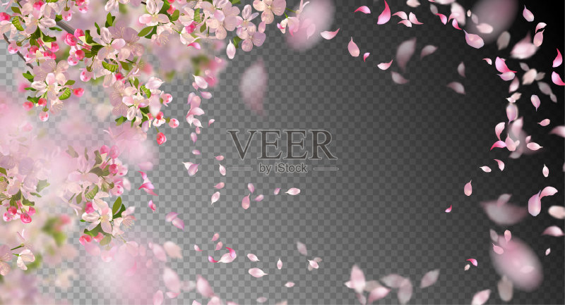 春天的樱花正版插画素材