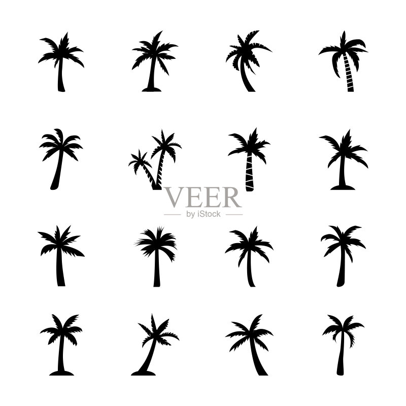 棕榈植物图标图标素材